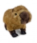 Preview: Capybara stehend