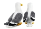 Preview: Möwe 20 cm