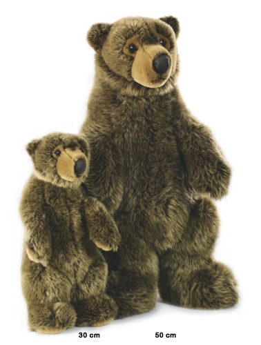 Preview: Braunbär stehend 50 cm