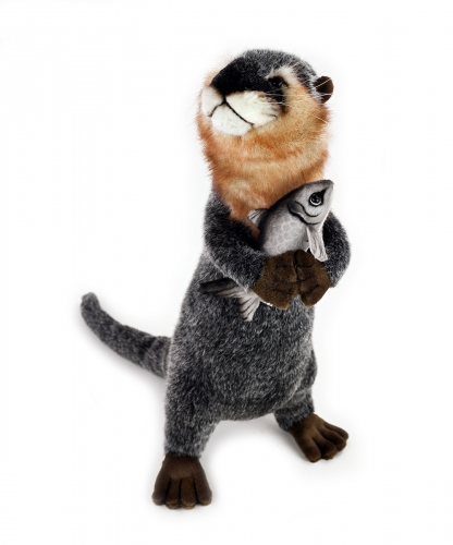 Preview: Fischotter aufwartend 37 cm