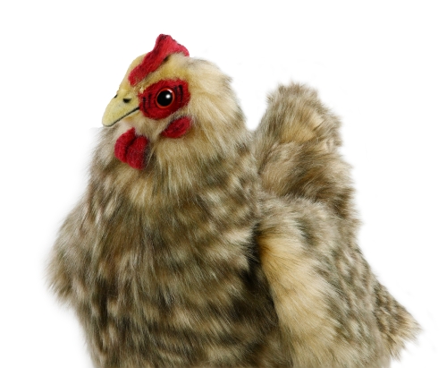 Preview: Huhn braun 27 cm
