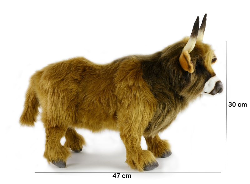 Heckrind  47 cm