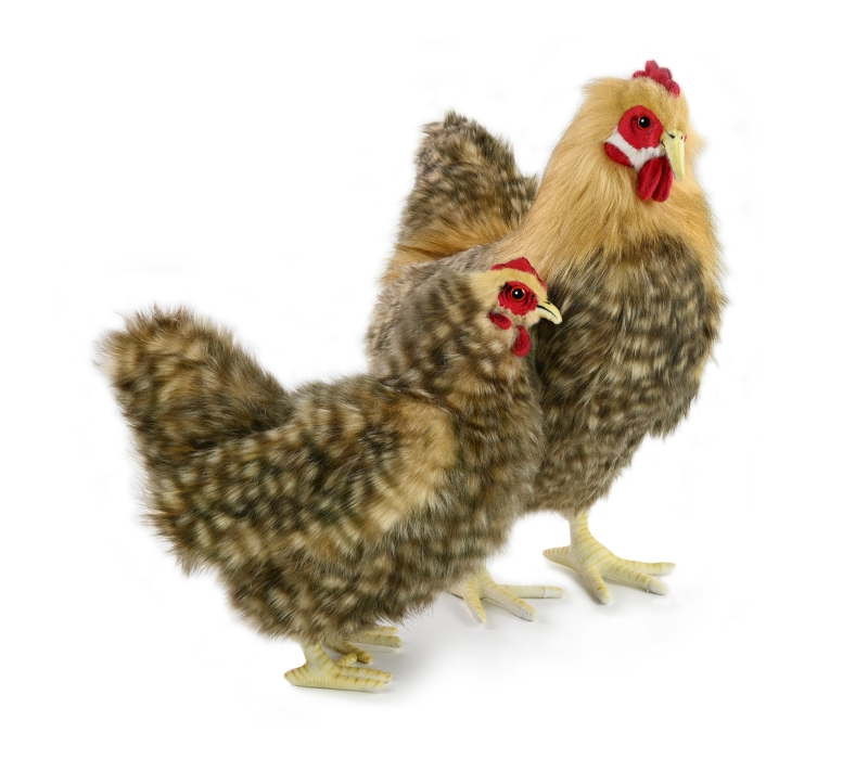 Huhn braun 27 cm