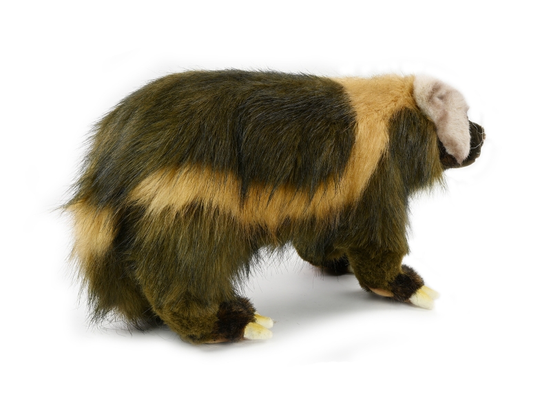 Vielfrass 48 cm